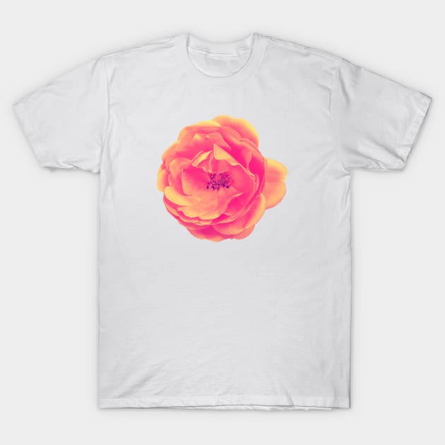 Roses are (amber) T-Shirt by misskyrstyn